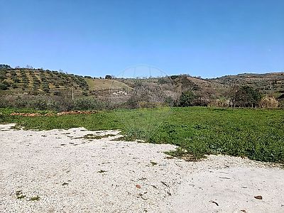 listing-picture-0