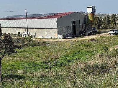 listing-picture-0