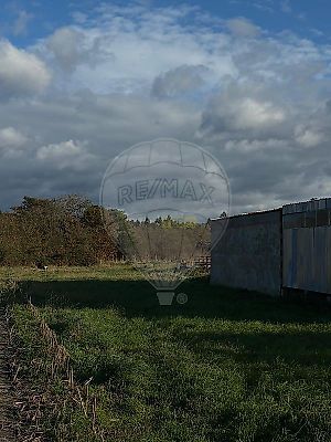 listing-picture-0
