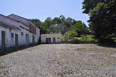listing-picture-0