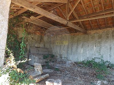 listing-picture-0