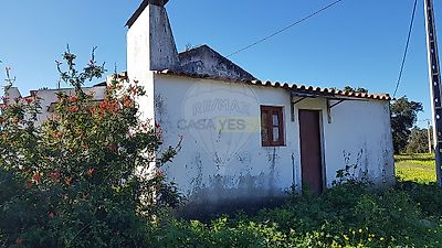 listing-picture-0