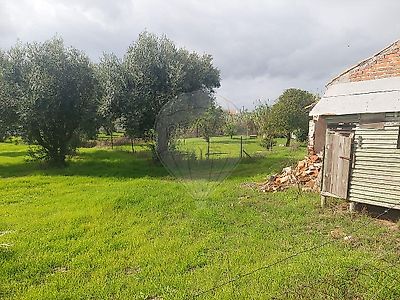 listing-picture-0