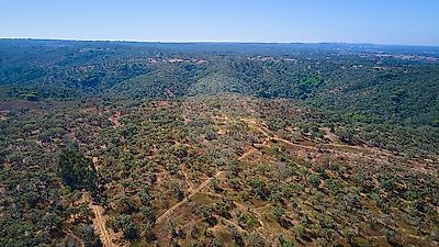 listing-picture-0