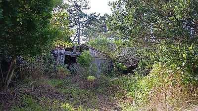 listing-picture-0