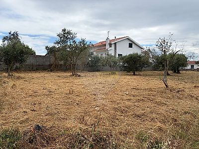 listing-picture-0