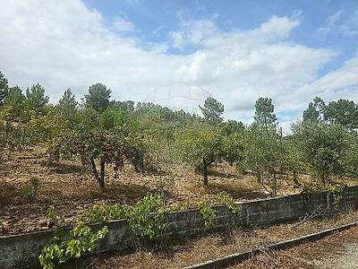 listing-picture-0