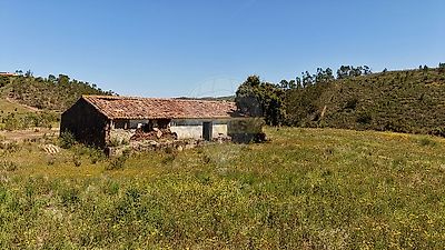 listing-picture-0