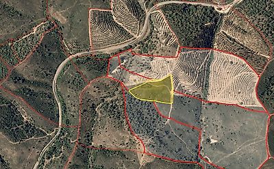 listing-picture-0