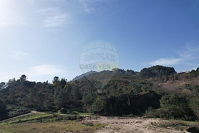 listing-picture-0