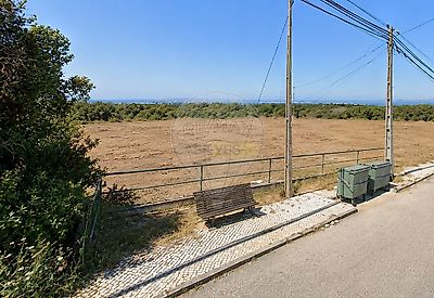listing-picture-0