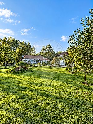 listing-picture-0