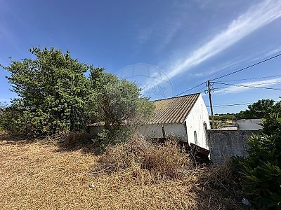 listing-picture-0