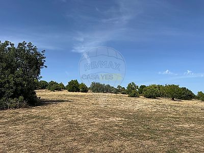 listing-picture-0