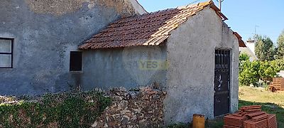listing-picture-0