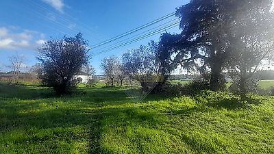 listing-picture-0