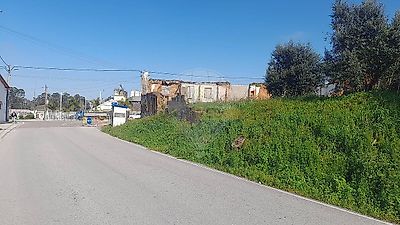 listing-picture-0