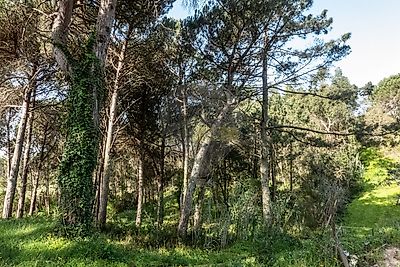 listing-picture-0