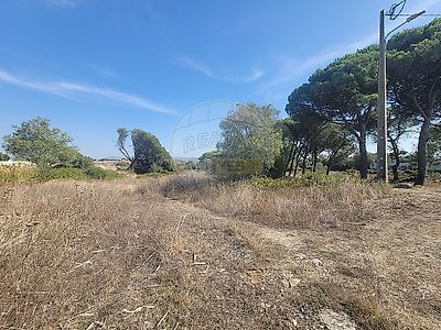 listing-picture-0