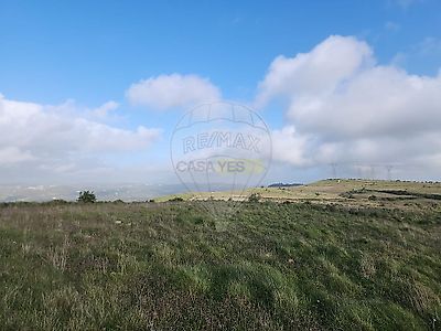 listing-picture-0