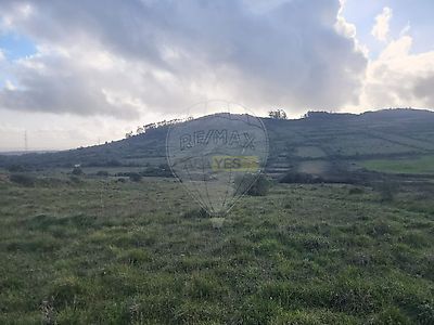 listing-picture-0
