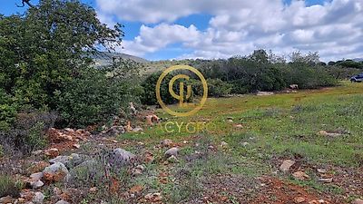 listing-picture-0
