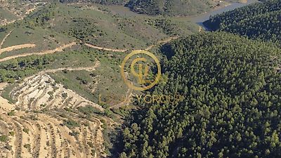 listing-picture-0