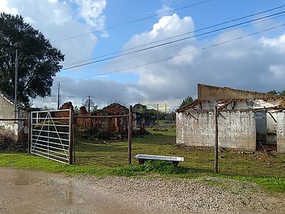 listing-picture-0