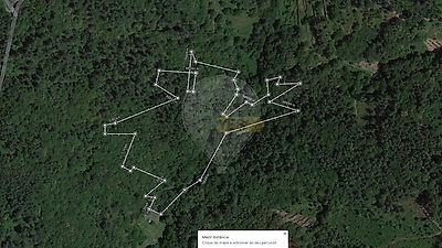 listing-picture-0