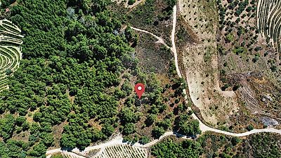 listing-picture-0