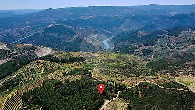 listing-picture-0