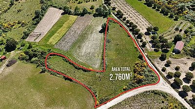 listing-picture-0