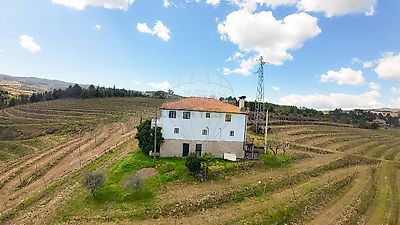 listing-picture-0