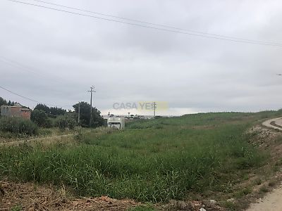 listing-picture-0