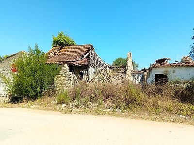 listing-picture-0