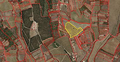 listing-picture-0