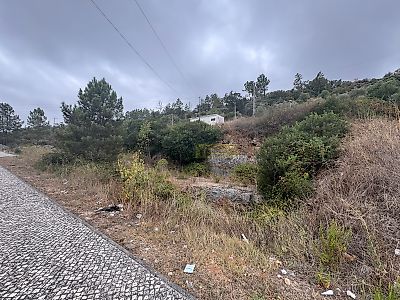 listing-picture-0