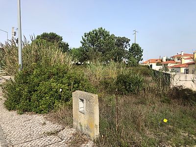 listing-picture-0