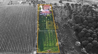 listing-picture-0