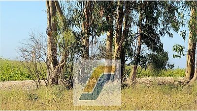 listing-picture-0