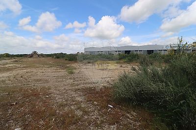 listing-picture-0