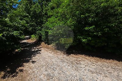 listing-picture-0
