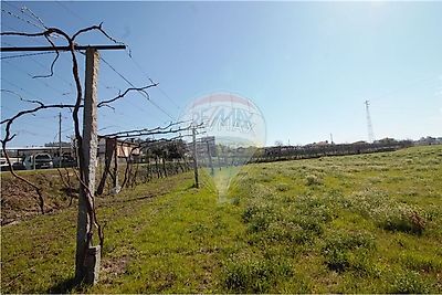 listing-picture-0