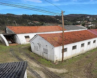 listing-picture-0
