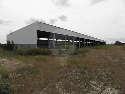 listing-picture-0