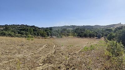 listing-picture-0
