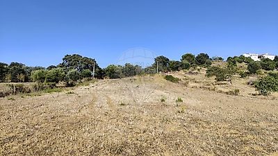 listing-picture-0