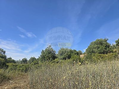 listing-picture-0