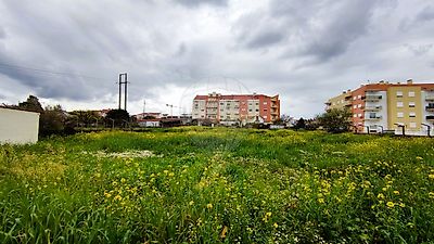 listing-picture-0