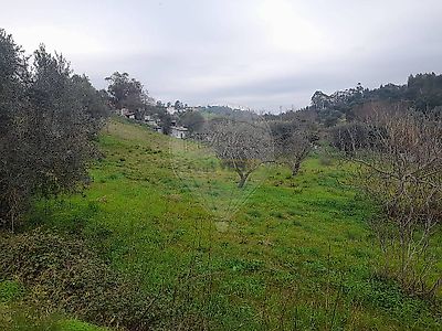 listing-picture-0